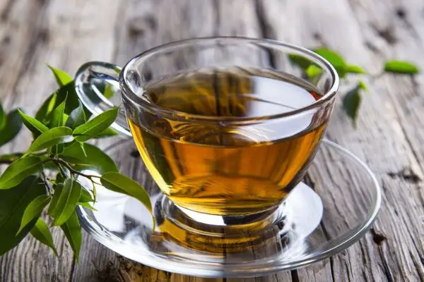 green tea in a cup to prepare diy green tea toner
