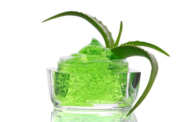 diy aloe vera moisturizer for oily skin