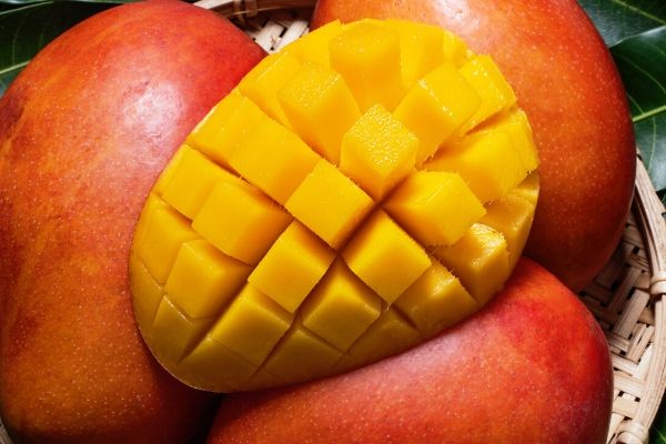 uses of mango for oily skin