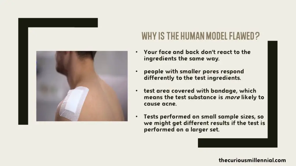 human model for comedogenic ratings