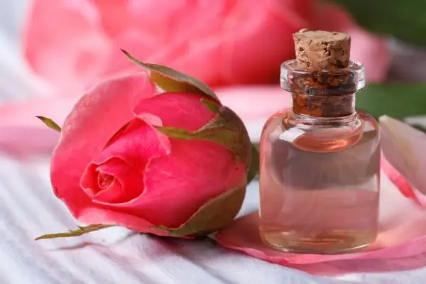 rose water for oily skin