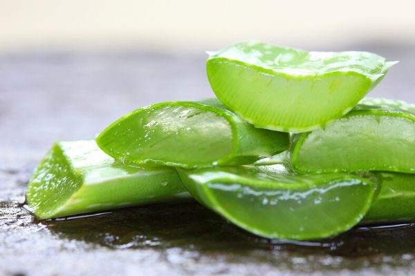aloe vera can be used to treat acne at home