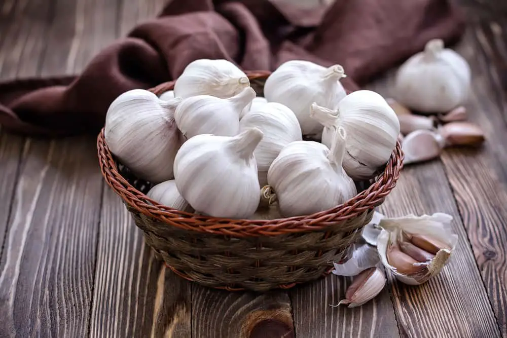 garlic can be used to get rid of acne naturally