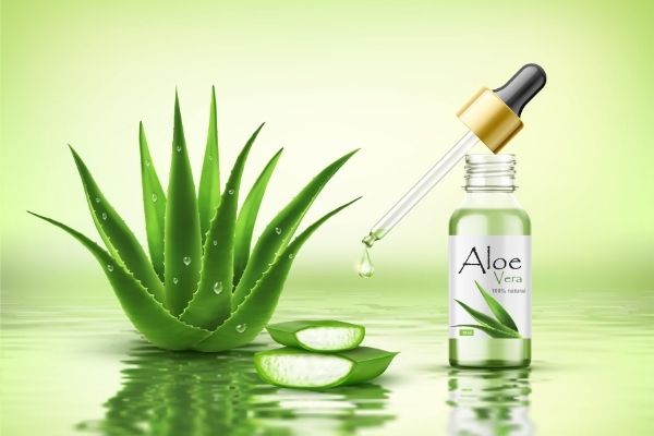 can aloe vera reduce acne