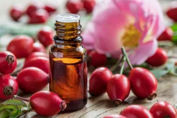 rosehip oil for oily skin