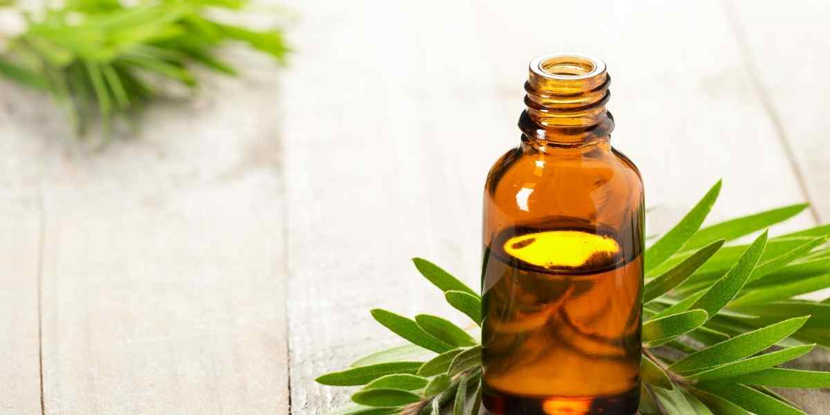 tea tree oil for oily skin